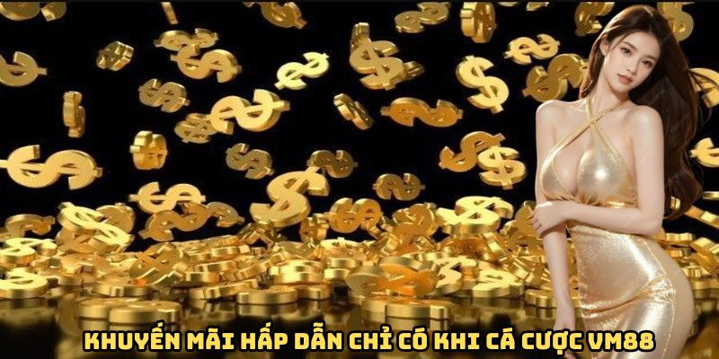Khuyến mãi hấp dẫn chỉ có khi cá cược VM88